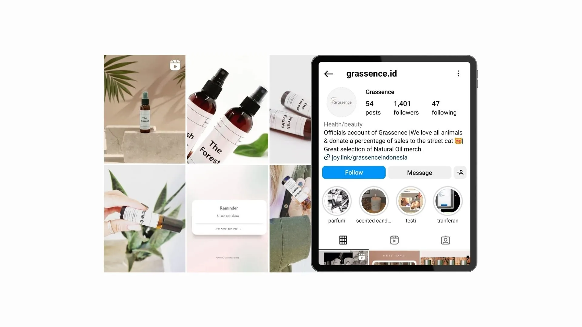 Conex1_ Social Media Management_ Grassence