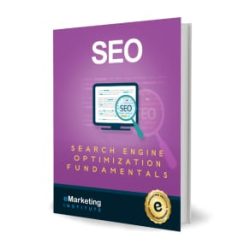 3D_Search-Engine-Optimization_eMarketing-Institute_v2 1